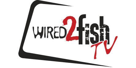 Wired 2 Fish Logo 